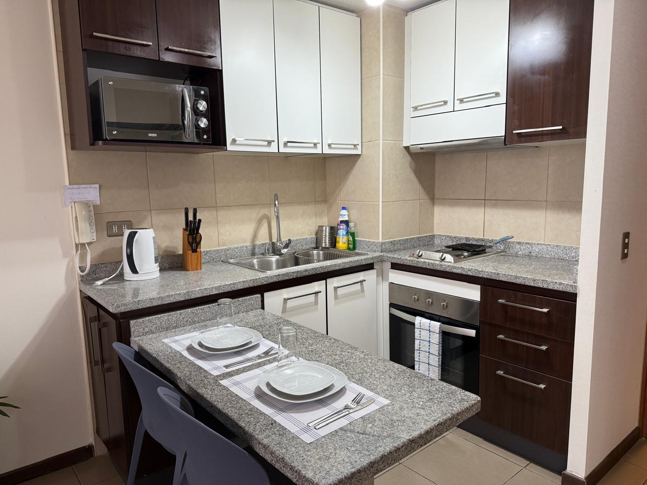 DEPTO. FULL AMOBLADO EDIFICIO PARQUE ALAMEDA