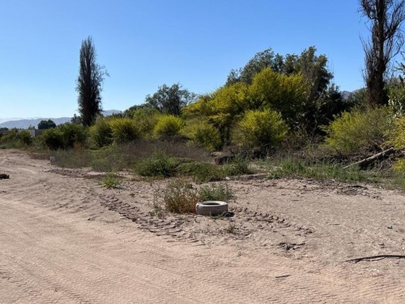 VENTA TERRENO - CALLEJON GUILLERMO TORO LORCA 