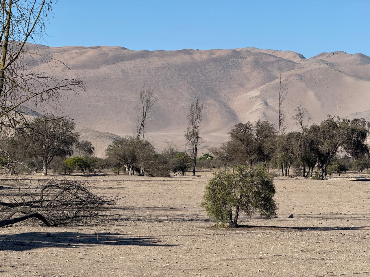 GRAN PARCELACION LA MACARENA - PIEDRA COLGADA.-