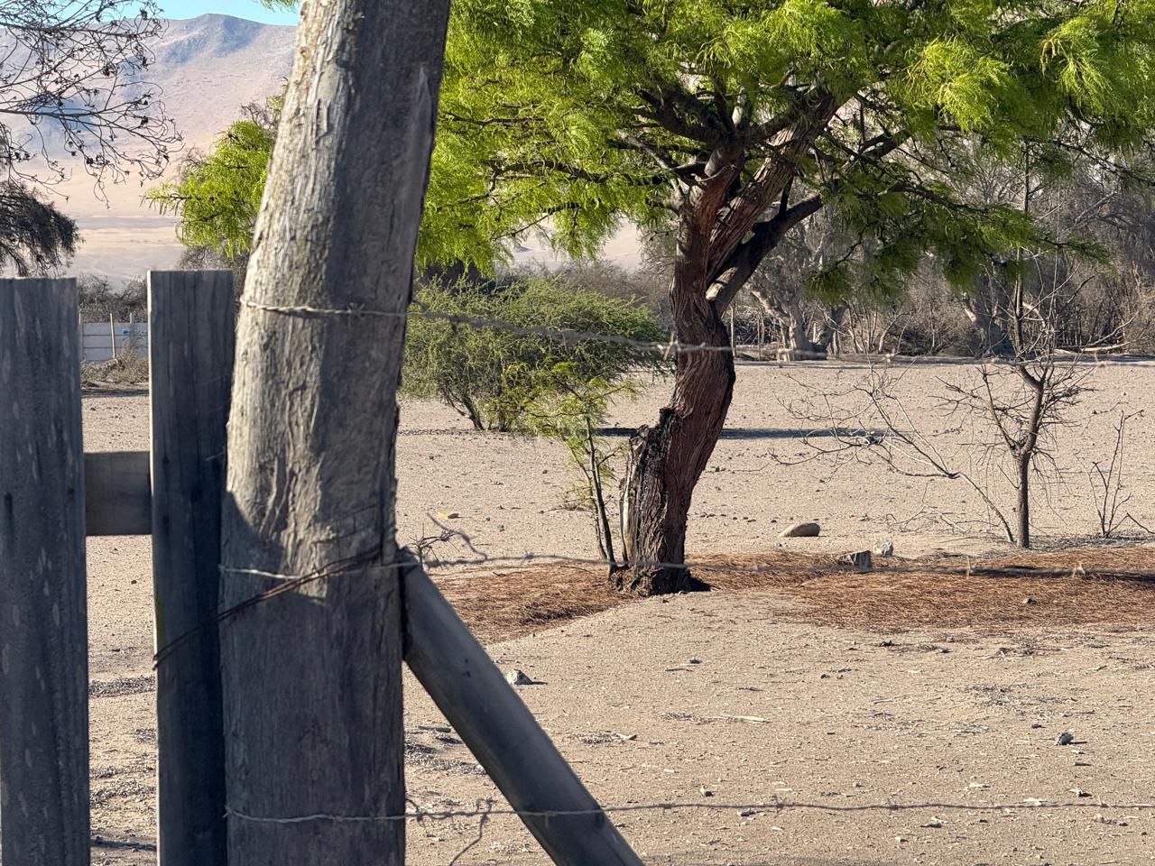 GRAN PARCELACION LA MACARENA - PIEDRA COLGADA.-
