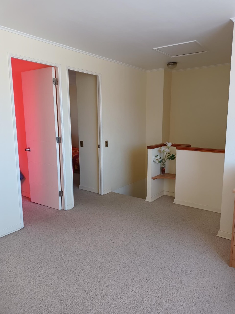 EXCELENTE PARCELA - VALLE FERTIL - A 5 MIN DE CARRETERA.-1/2 Ha.