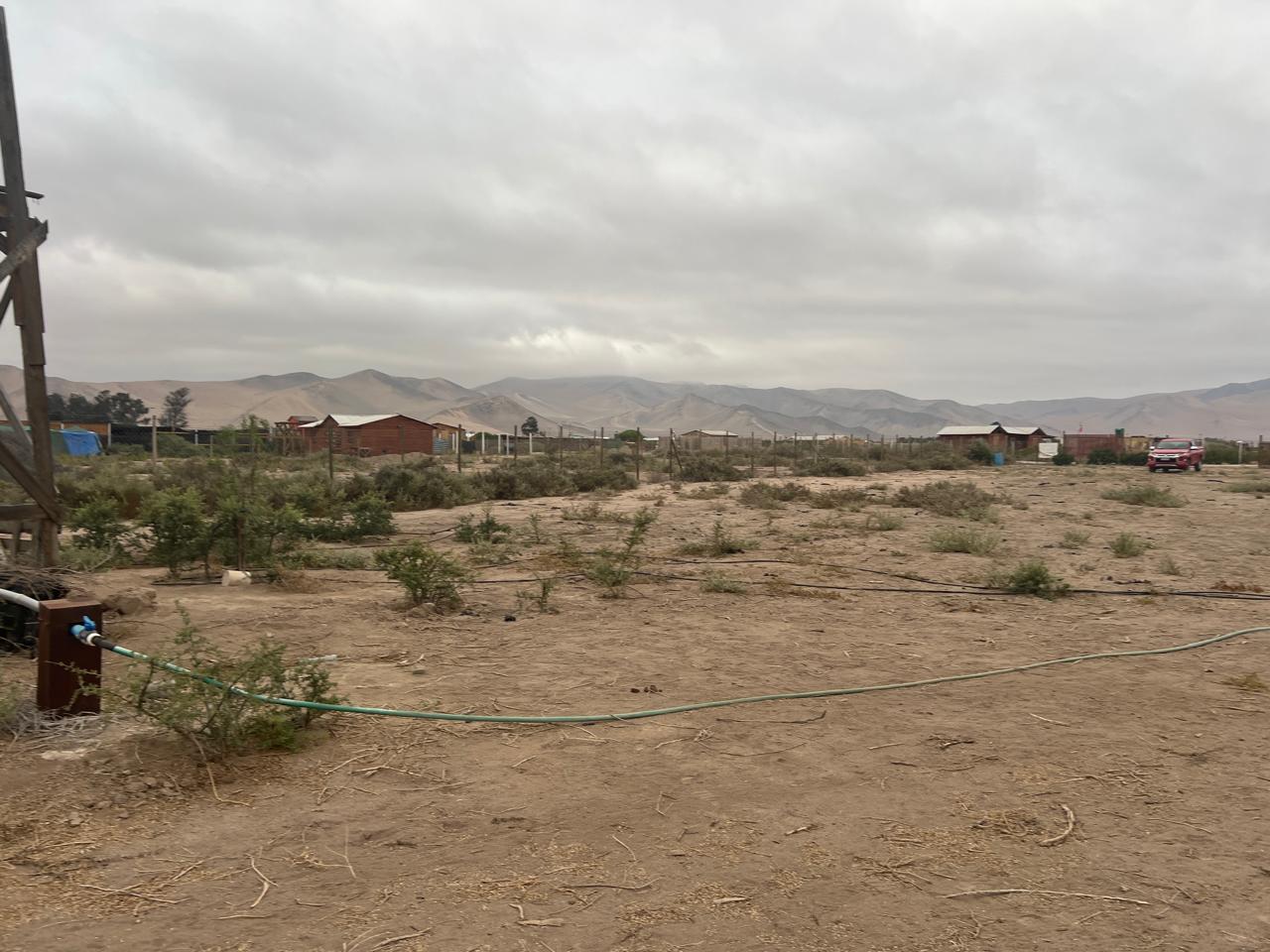 LINDA PARCELA VALLE FERTIL.- 5.000 M2.