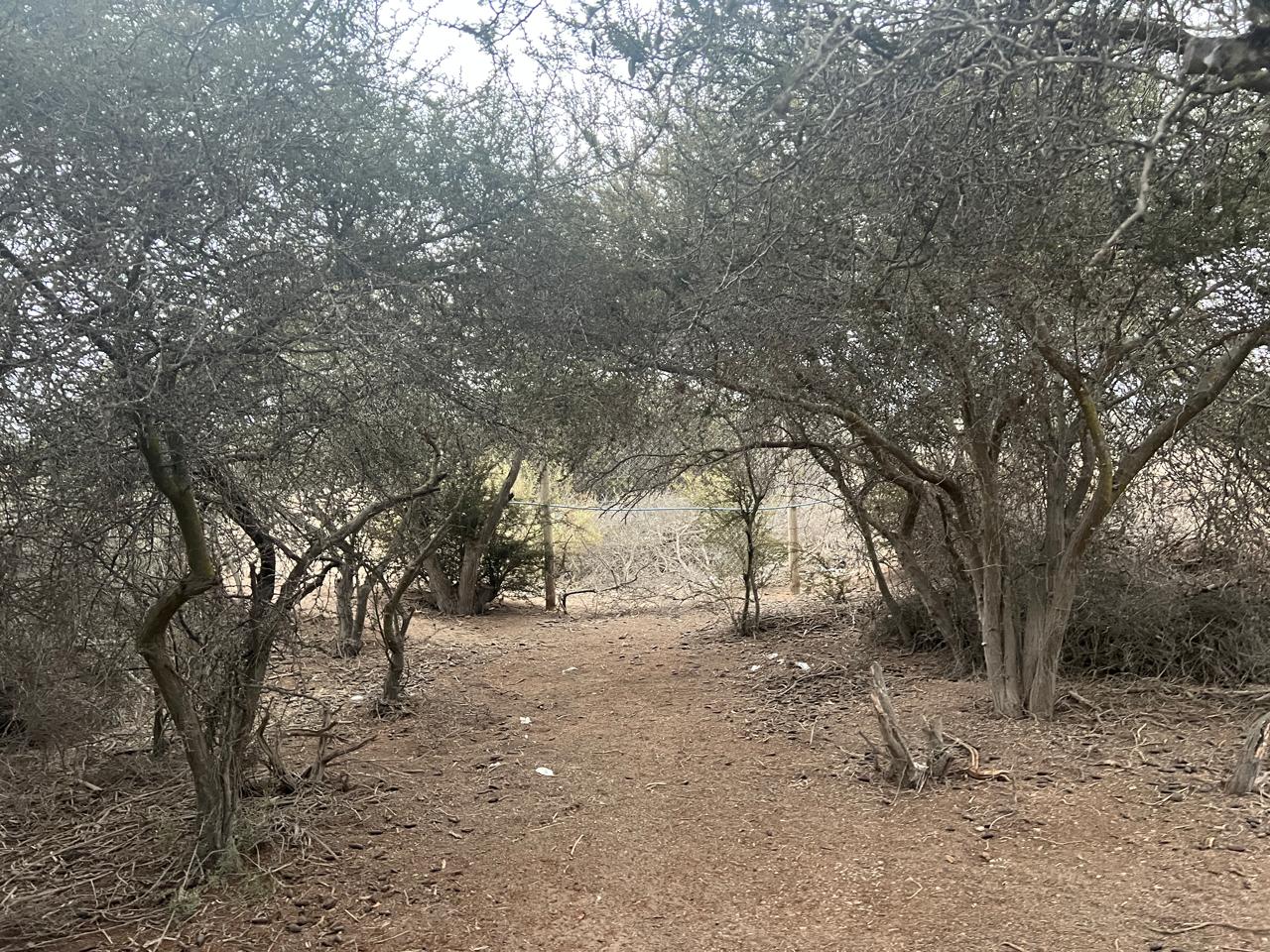 LINDA PARCELA VALLE FERTIL.- 5.000 M2.