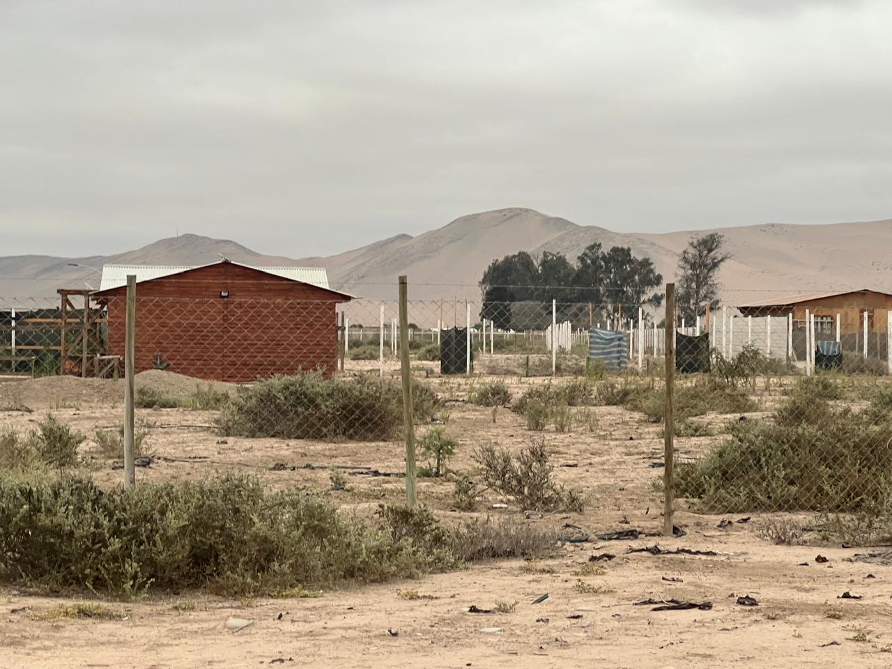 LINDA PARCELA VALLE FERTIL.- 5.000 M2.