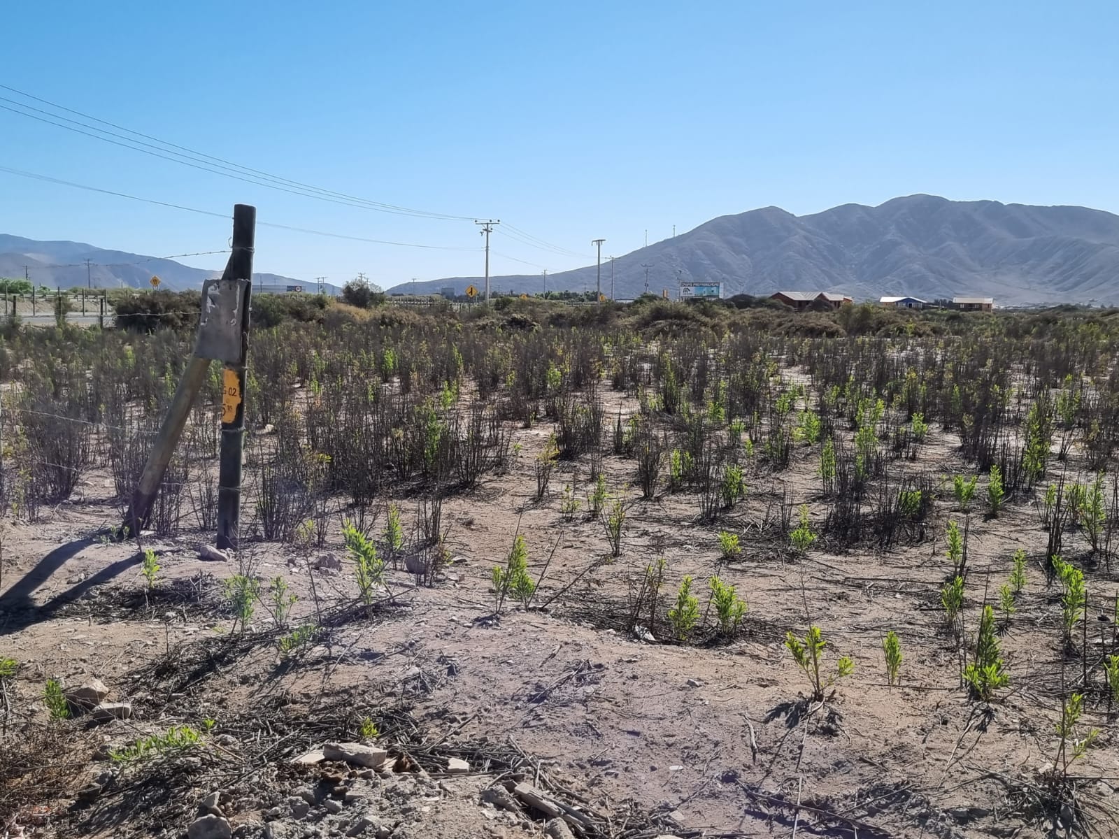 GRAN OPORTUNIDAD-ARRIENDO PARCELA FRENTE BY-PASS