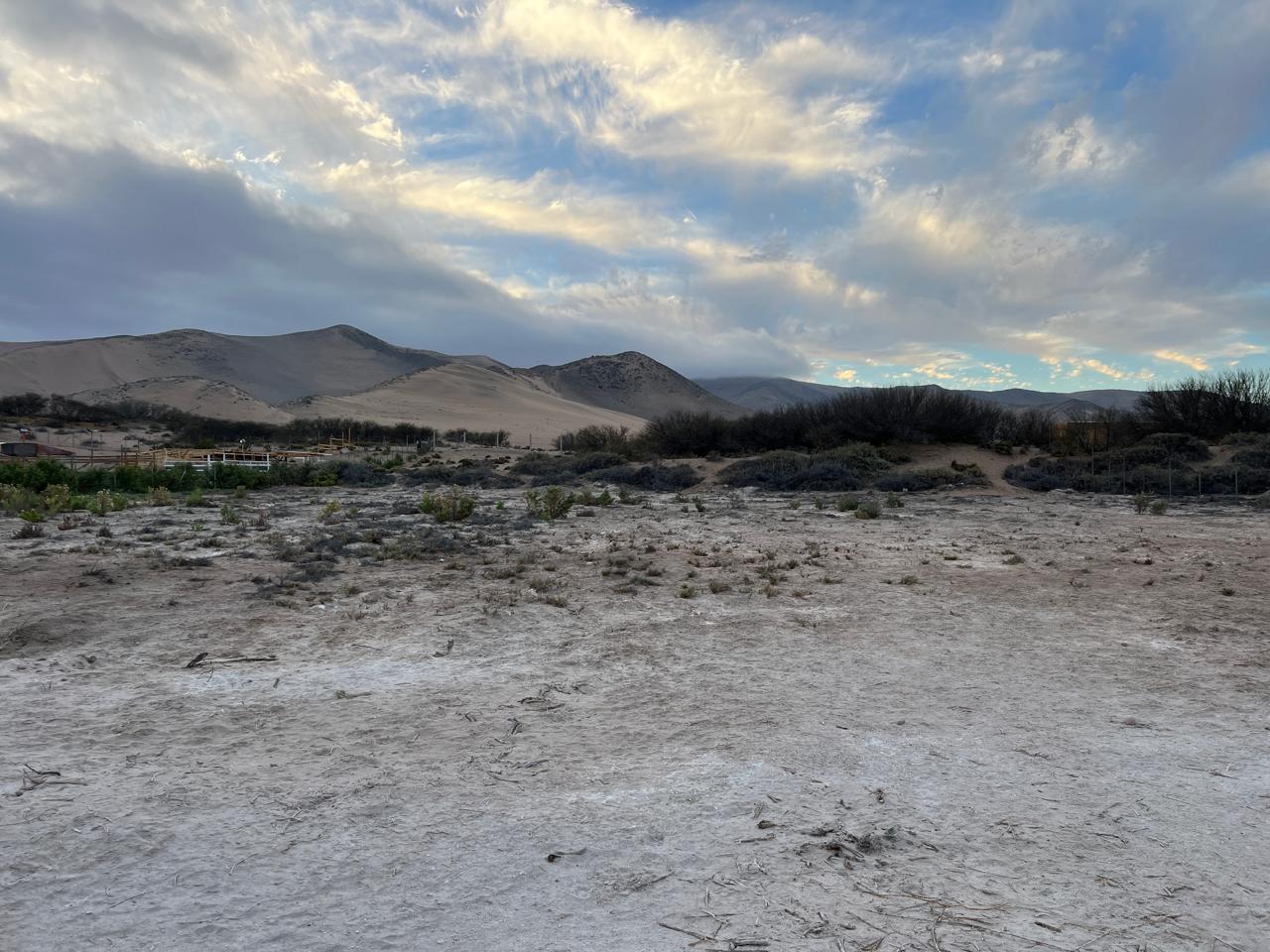 PARCELA SEGUNDA LINEA SECTOR PEAJE NORTE.-1/2 Ha.