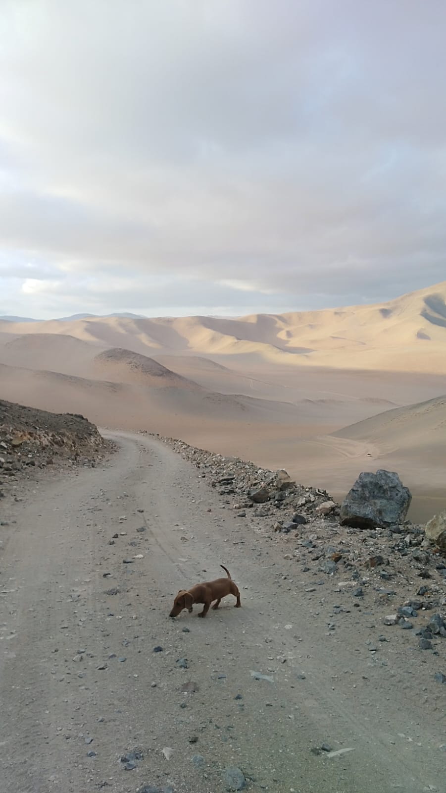 MINA LA PROBLEMA  DEL 1 AL 10.-