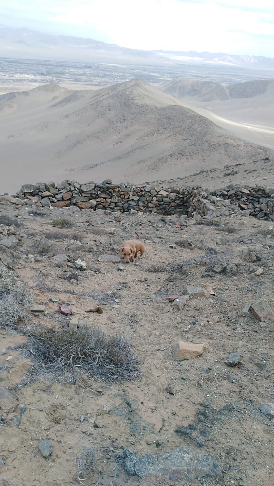 MINA LA PROBLEMA  DEL 1 AL 10.-