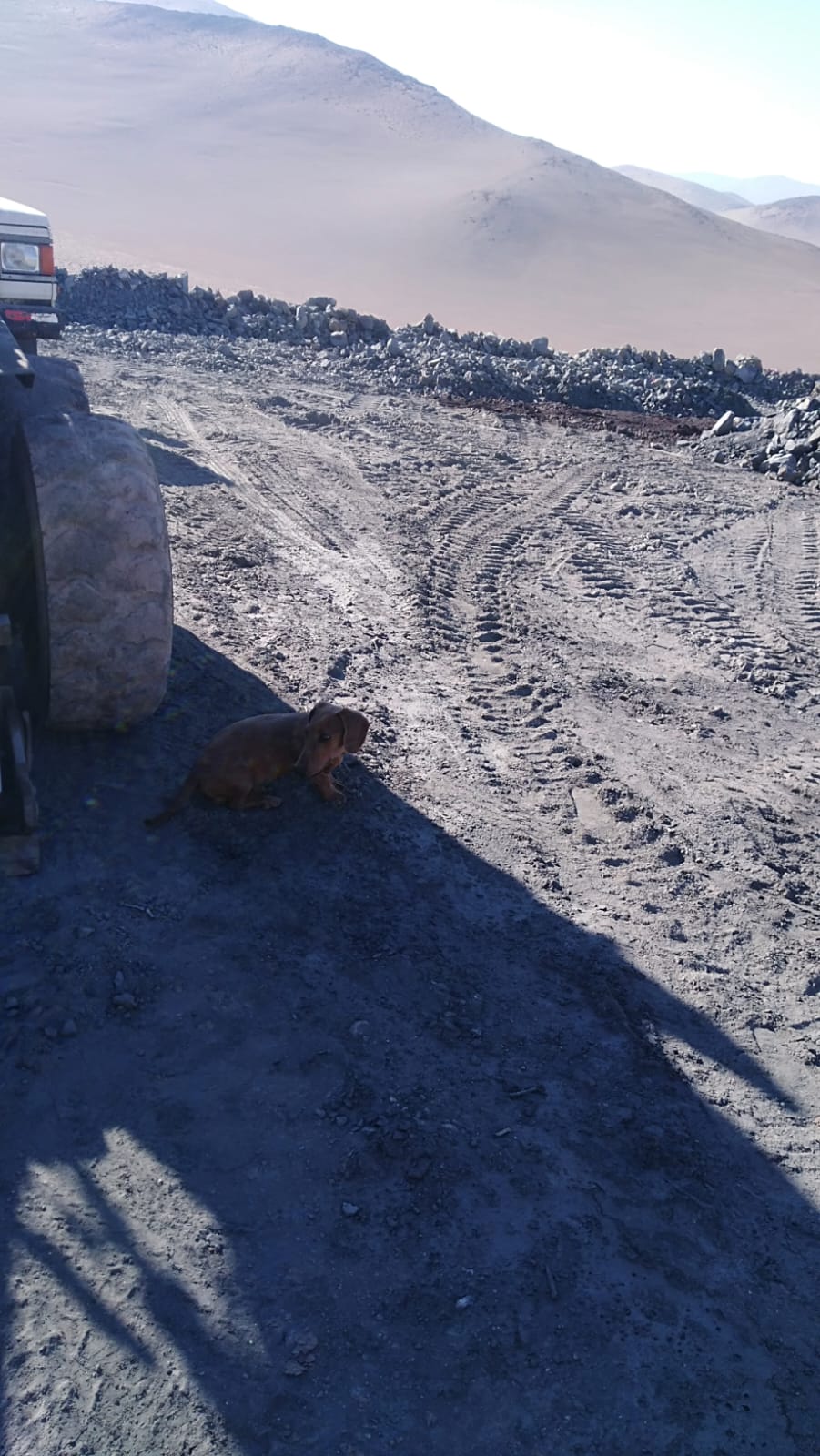 MINA LA PROBLEMA  DEL 1 AL 10.-