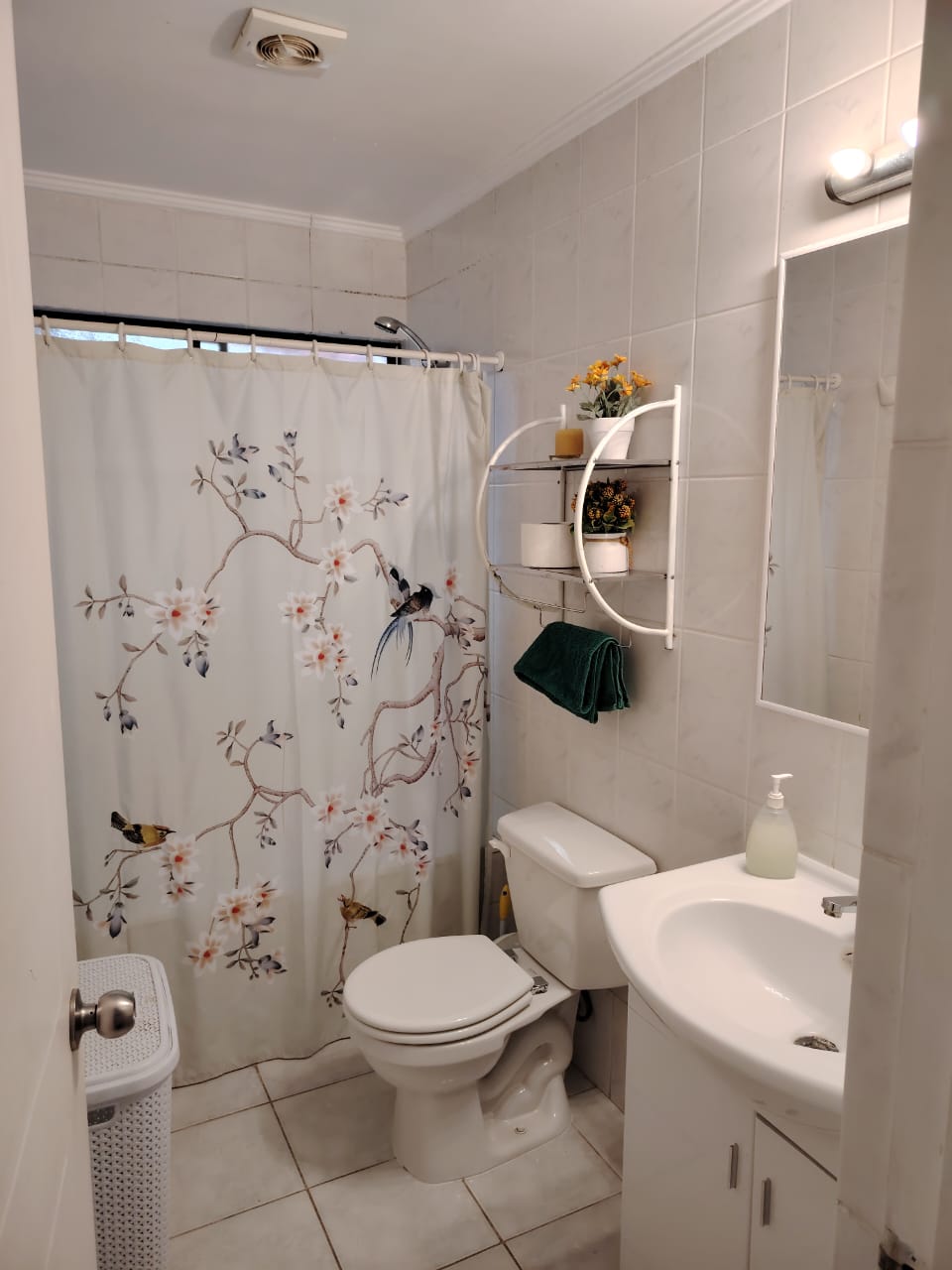 VILLA LOS FLAMENCOS - COPIAPO.-