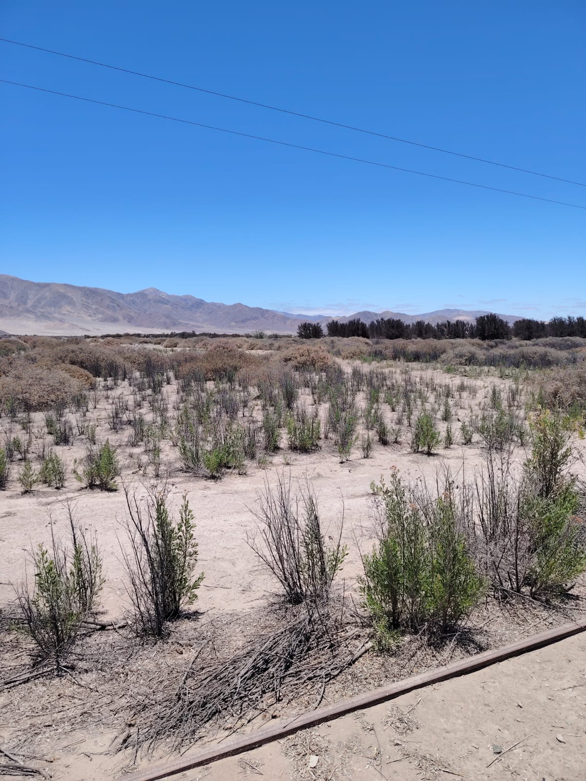 PARCELA SECTOR BY PASS - ORILLA CALETERA.-1/2 Ha.