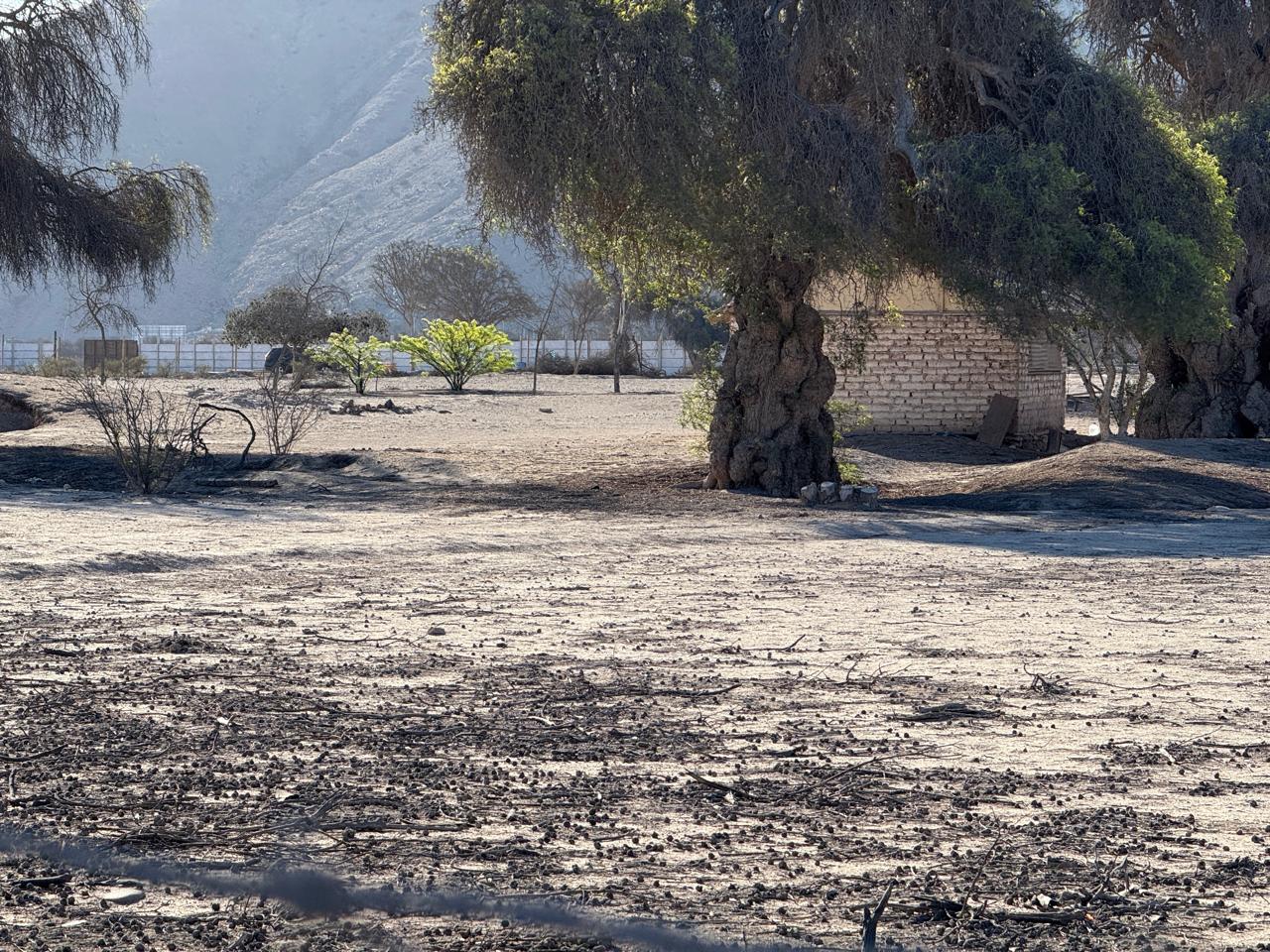 GRAN PARCELACION LA MACARENA - PIEDRA COLGADA.-