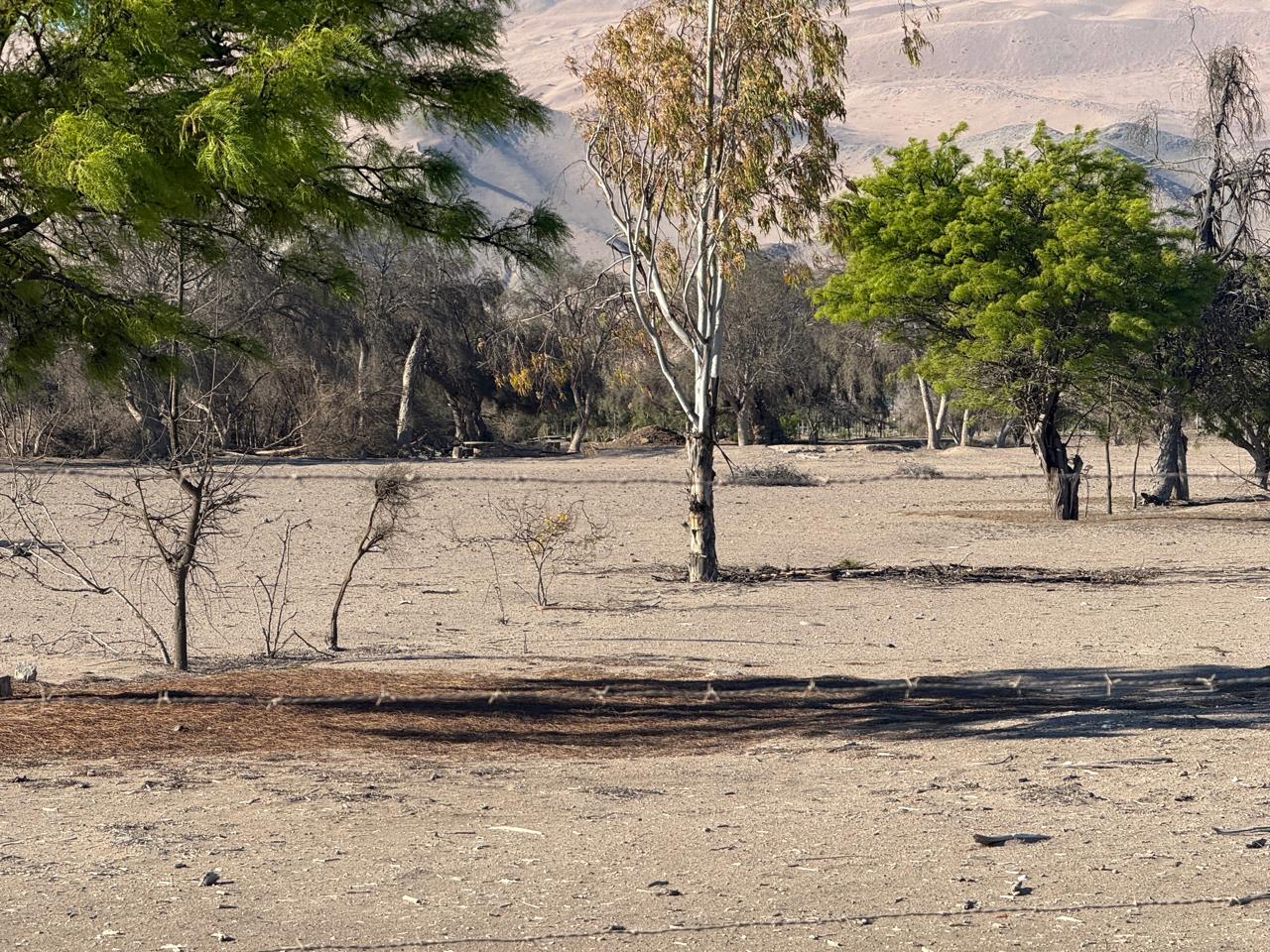 GRAN PARCELACION LA MACARENA - PIEDRA COLGADA.-