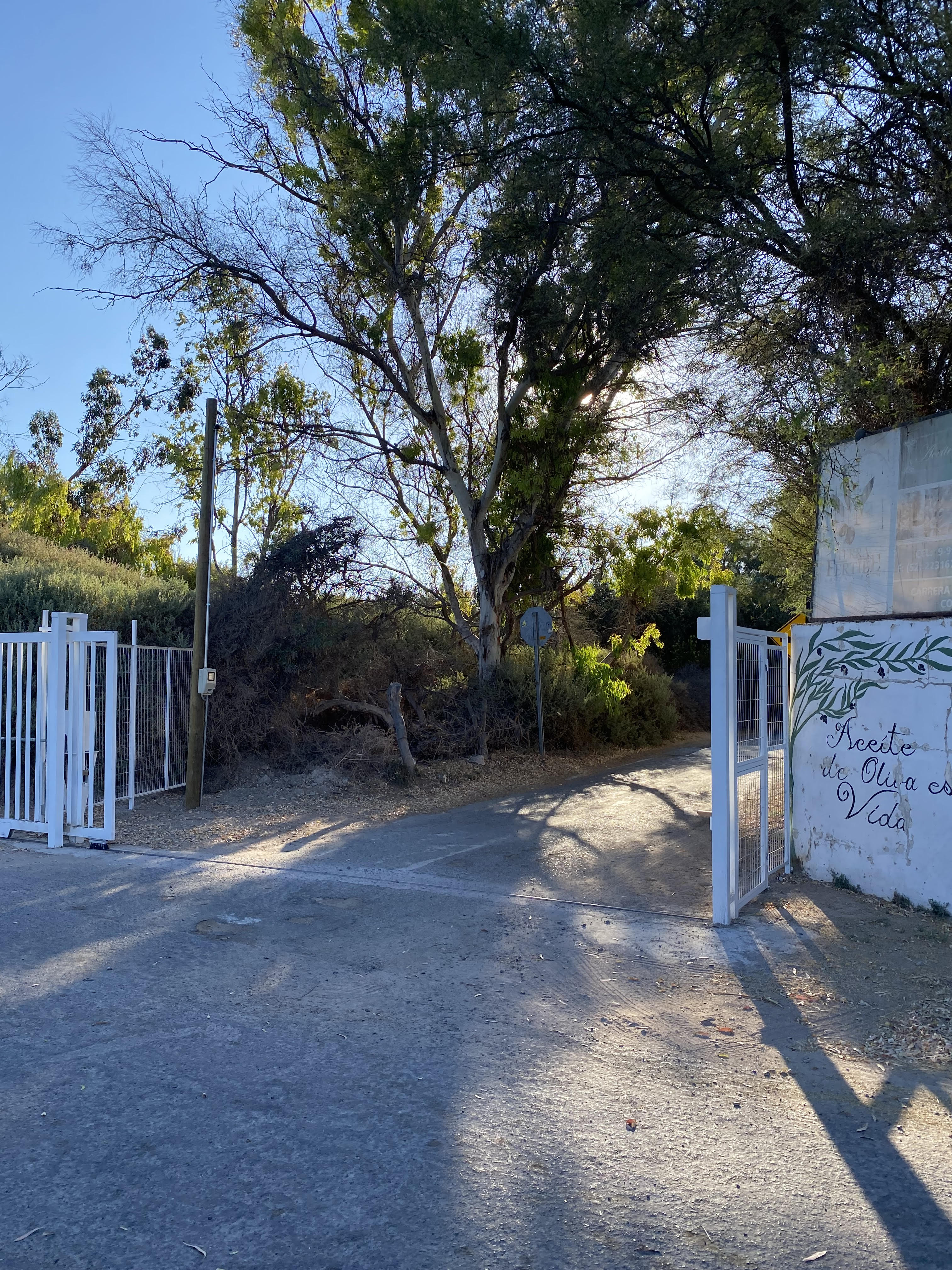 PARCELA CHAMONATE - FRENTE HOTEL WARA.-1/2 Ha.