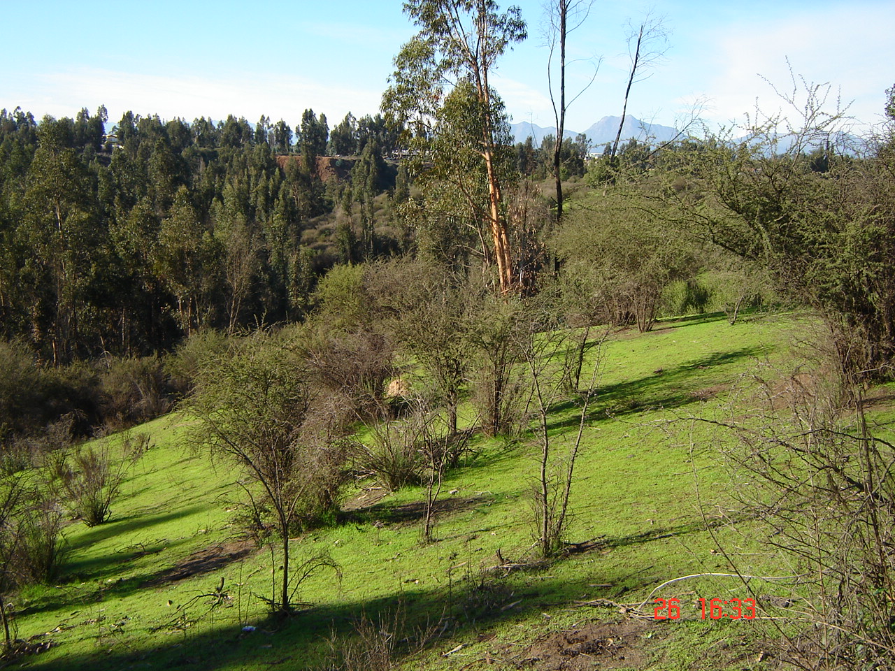 FUNDO PORVENIR-QUILPUE - V REGION DE VALPARAISO.-