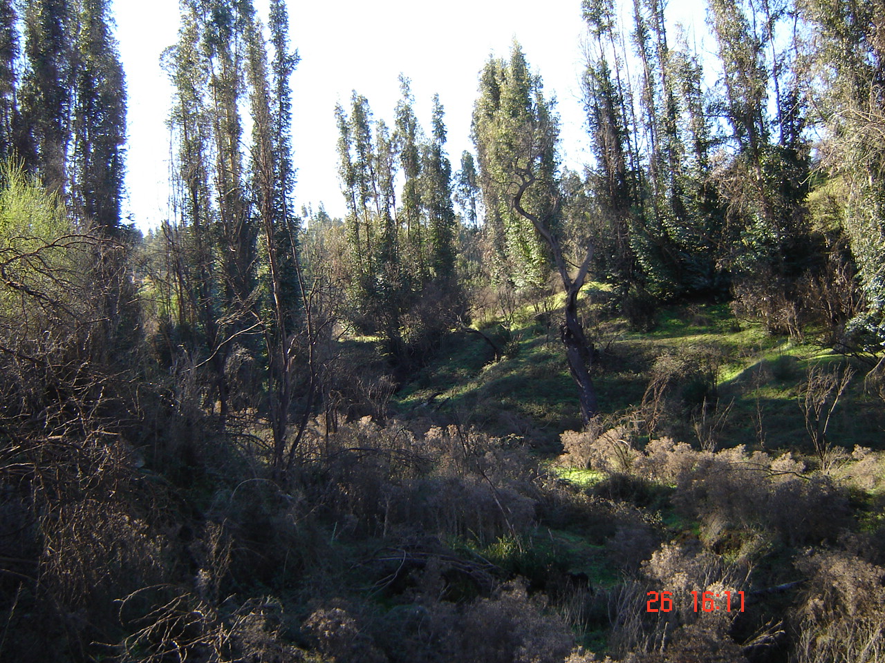 FUNDO PORVENIR-QUILPUE - V REGION DE VALPARAISO.-