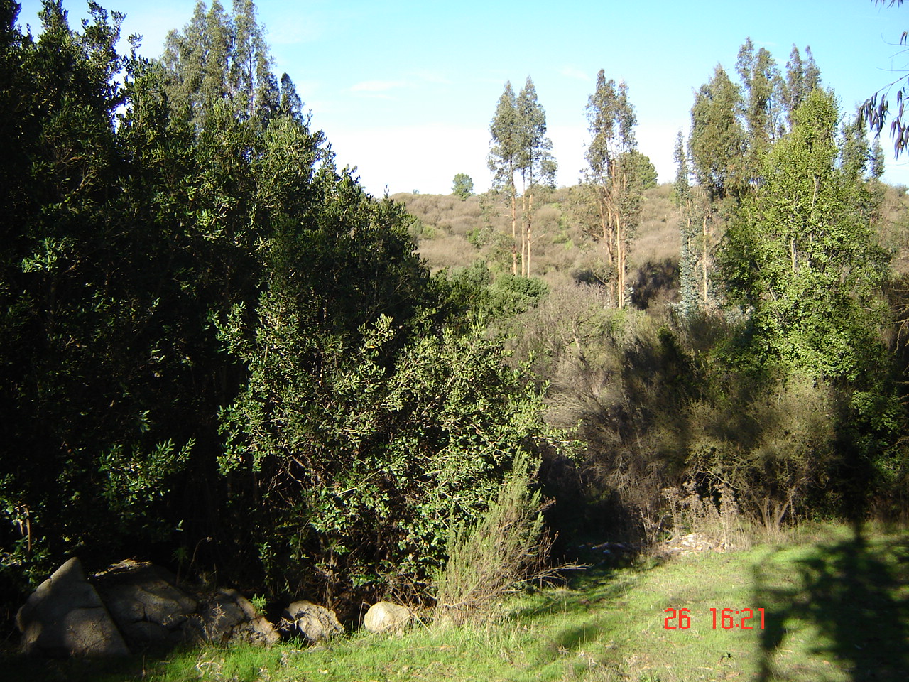 FUNDO PORVENIR-QUILPUE - V REGION DE VALPARAISO.-