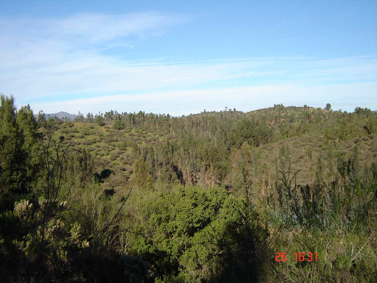 FUNDO PORVENIR-QUILPUE - V REGION DE VALPARAISO.-