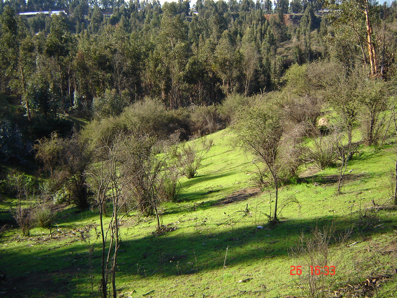 FUNDO PORVENIR-QUILPUE - V REGION DE VALPARAISO.-