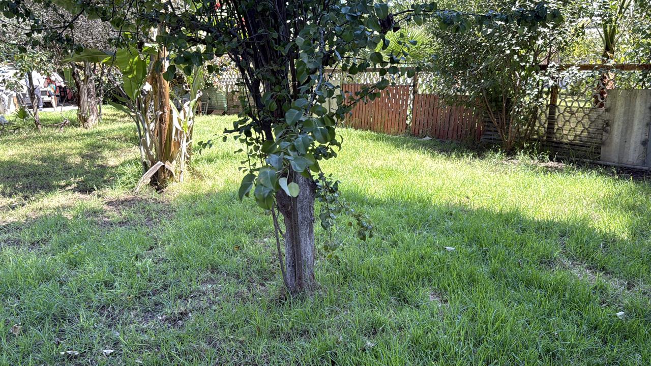 GRAN CASA - CALLE LEONIDAS PEREZ.-