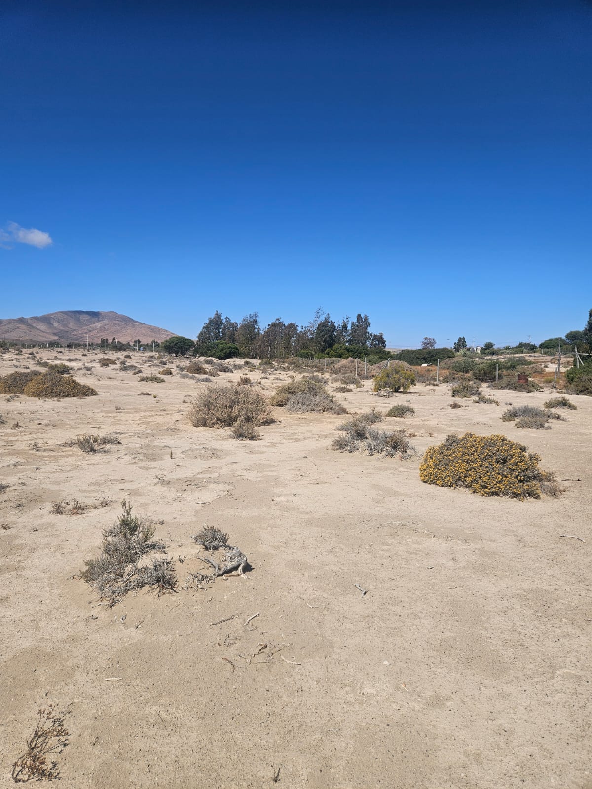 LINDO TERRENO EN CANDE DE AGUA-HUASCO