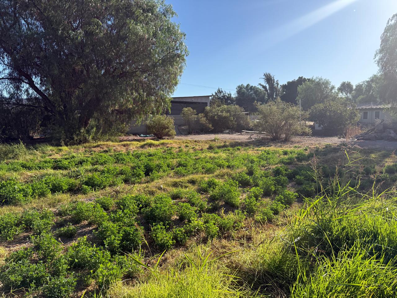GRAN Y ESPECTACULAR TERRENO AV. COPAYAPU/RAFAEL ZORRAINDO.-