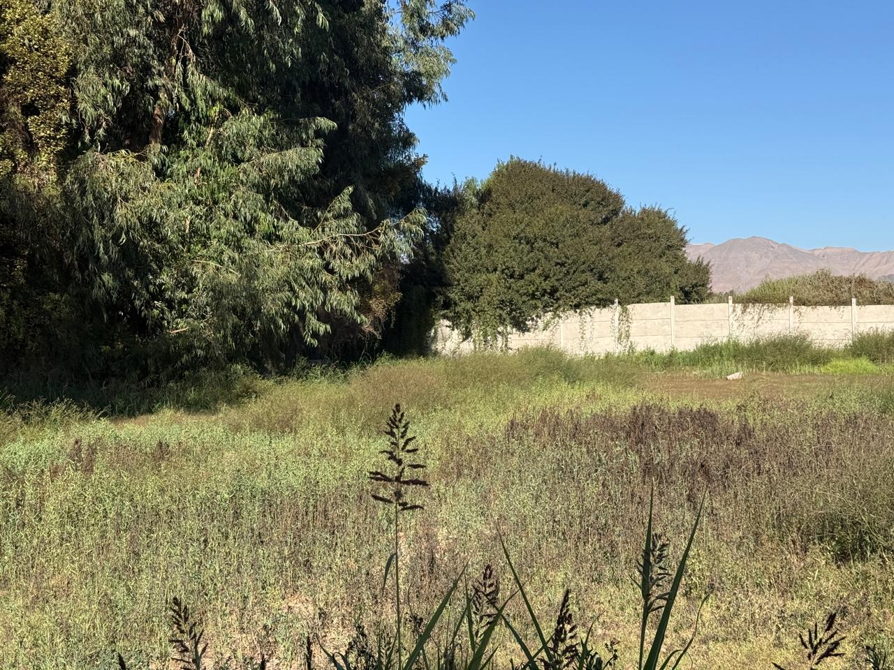 GRAN Y ESPECTACULAR TERRENO AV. COPAYAPU/RAFAEL ZORRAINDO.-