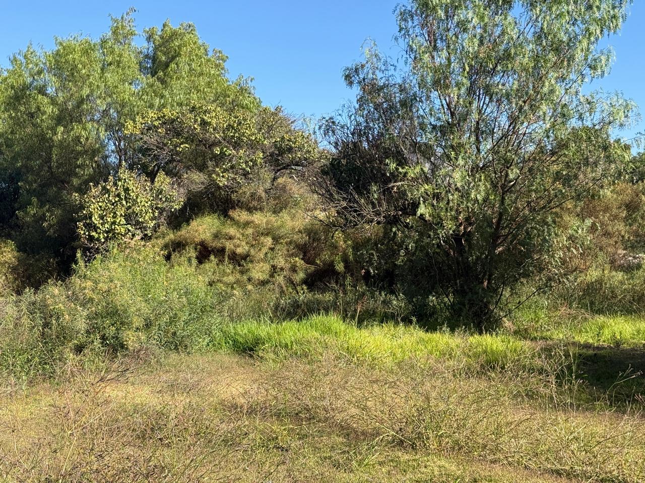 GRAN Y ESPECTACULAR TERRENO AV. COPAYAPU/RAFAEL ZORRAINDO.-