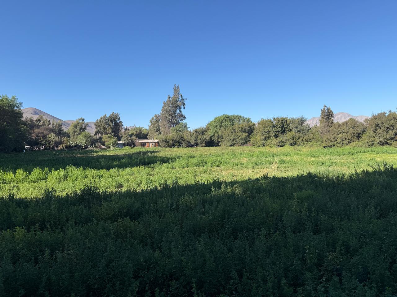 GRAN Y ESPECTACULAR TERRENO AV. COPAYAPU/RAFAEL ZORRAINDO.-