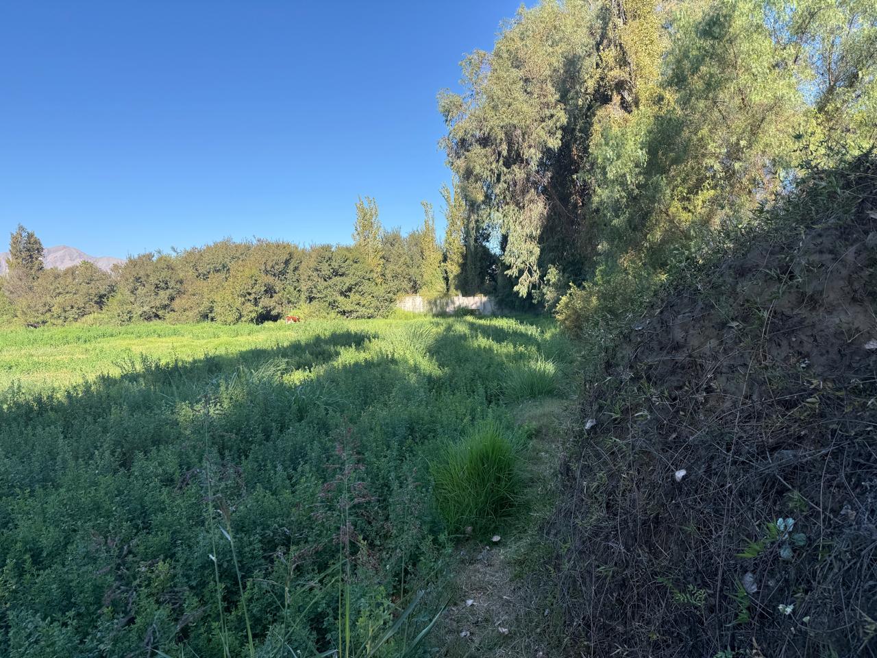 GRAN Y ESPECTACULAR TERRENO AV. COPAYAPU/RAFAEL ZORRAINDO.-