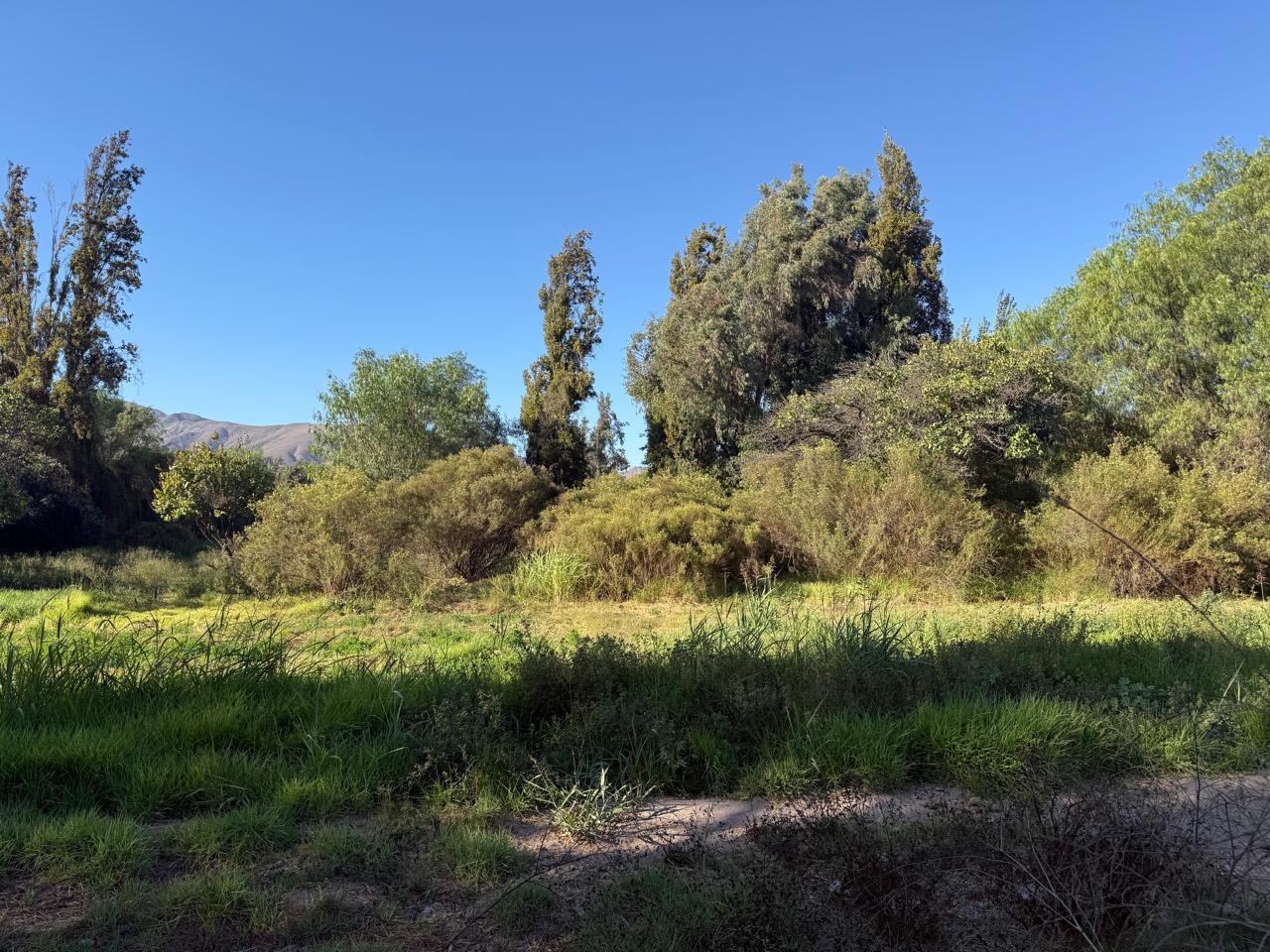 GRAN Y ESPECTACULAR TERRENO AV. COPAYAPU/RAFAEL ZORRAINDO.-