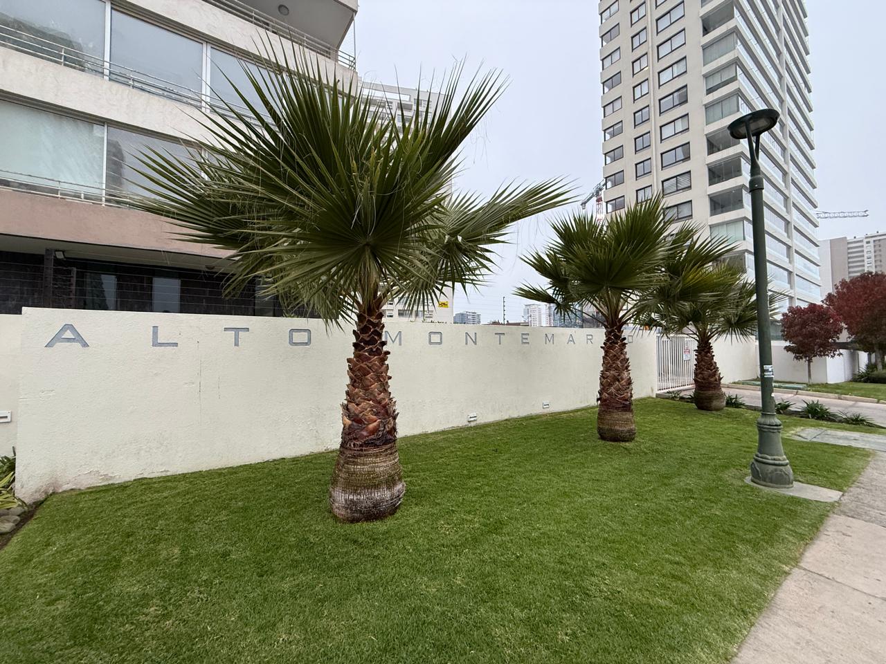 DEPTO. EDIF. ALTO MONTEMAR_CON-CON_VREGION