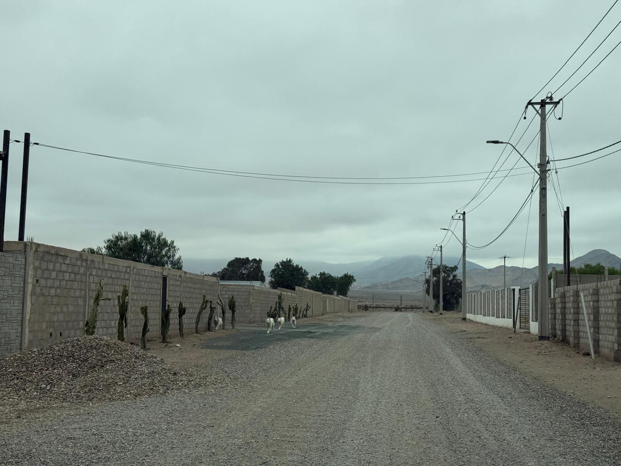 PARCELA PROYECTO PARQUE CHAMONATE