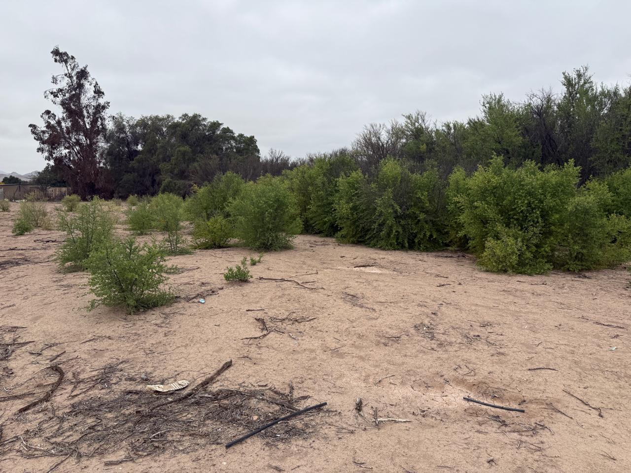 PARCELA PROYECTO PARQUE CHAMONATE