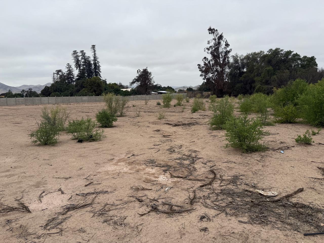 PARCELA PROYECTO PARQUE CHAMONATE