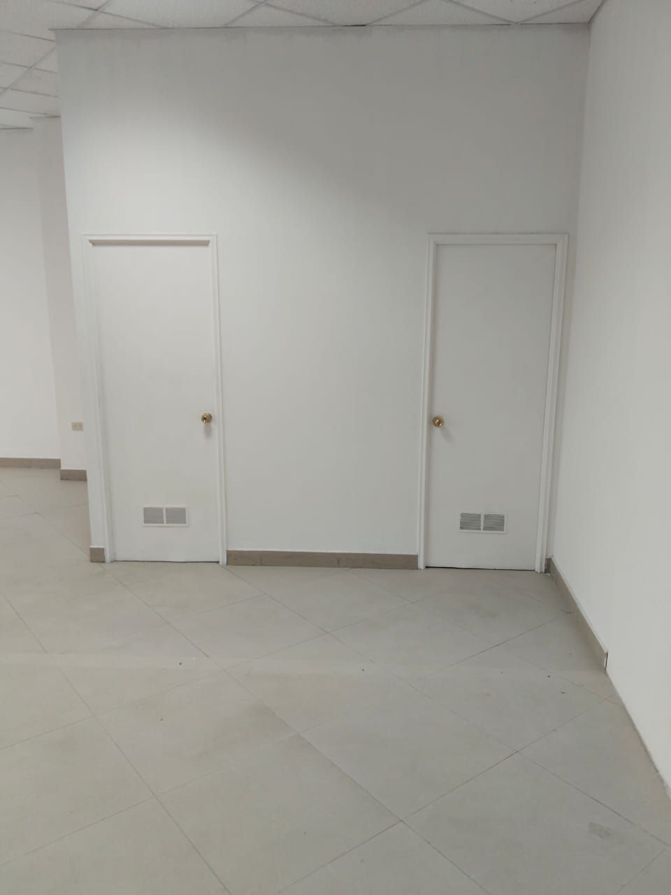 ESPECTACULAR LOCAL COMERCIAL_PLENO CENTRO_CALLE MAIPU