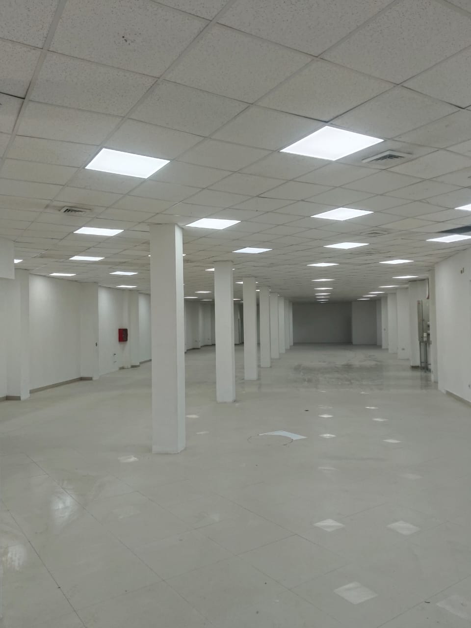 ESPECTACULAR LOCAL COMERCIAL_PLENO CENTRO_CALLE MAIPU