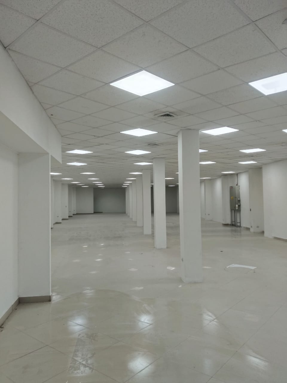 ESPECTACULAR LOCAL COMERCIAL_PLENO CENTRO_CALLE MAIPU