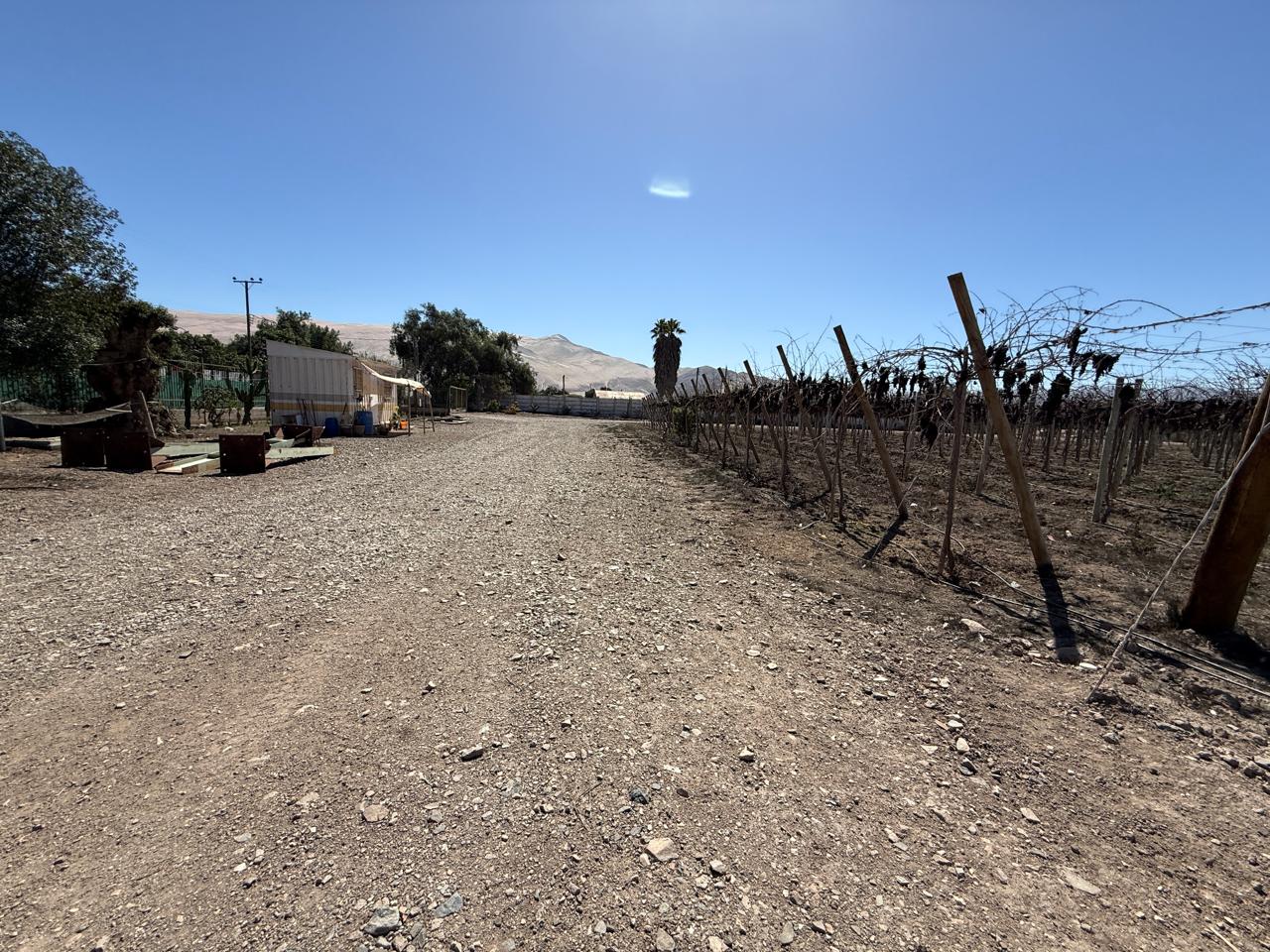 SECTOR NORTE / GRAN PARCELA AGROINDUSTRIAL .- 30.000 MTS.2