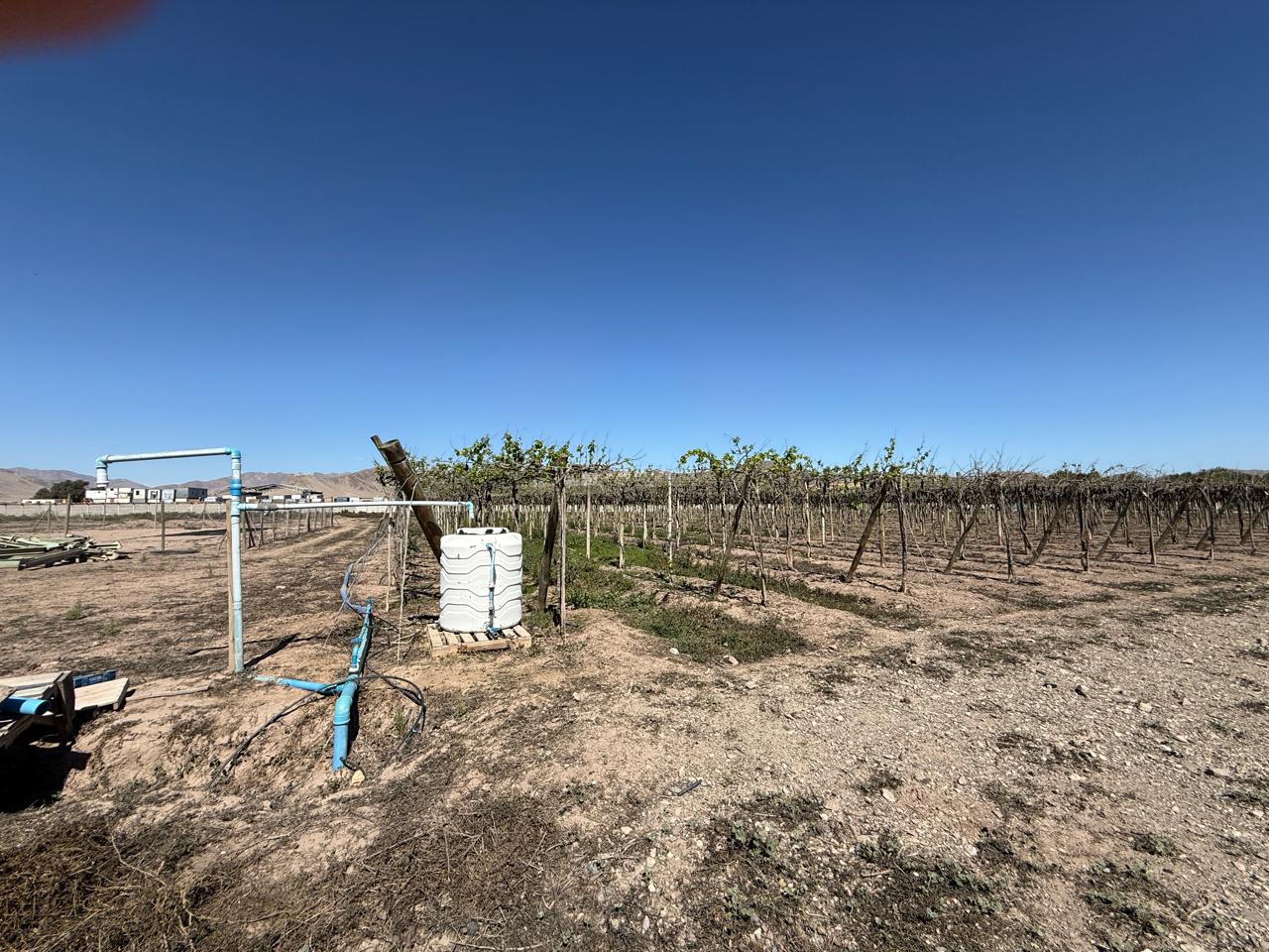 SECTOR NORTE / GRAN PARCELA AGROINDUSTRIAL .- 30.000 MTS.2