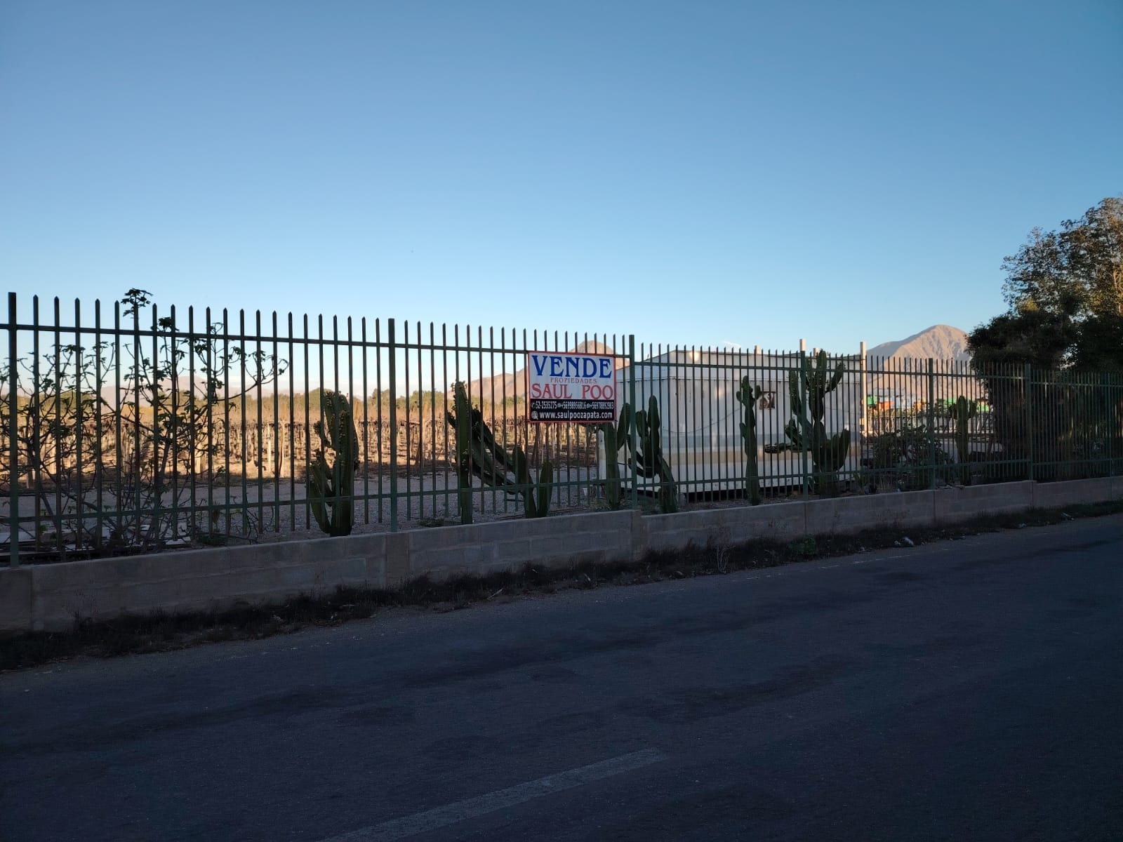 SECTOR NORTE / GRAN PARCELA AGROINDUSTRIAL .- 30.000 MTS.2