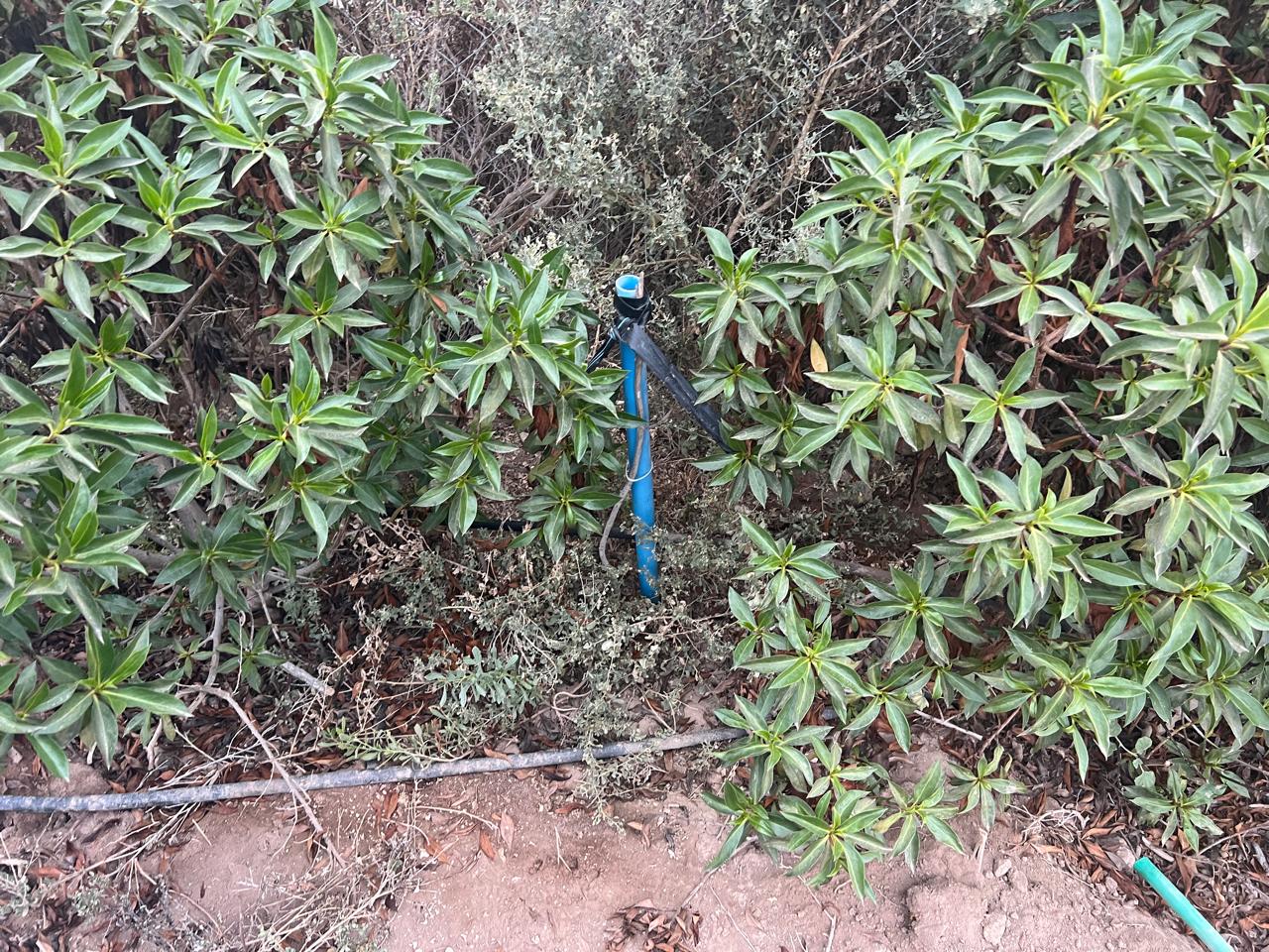 EXCELENTE PARCELA - VALLE FERTIL - A 5 MIN DE CARRETERA.-1/2 Ha.