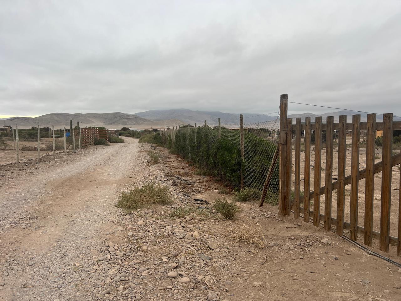 EXCELENTE PARCELA - VALLE FERTIL - A 5 MIN DE CARRETERA.-1/2 Ha.