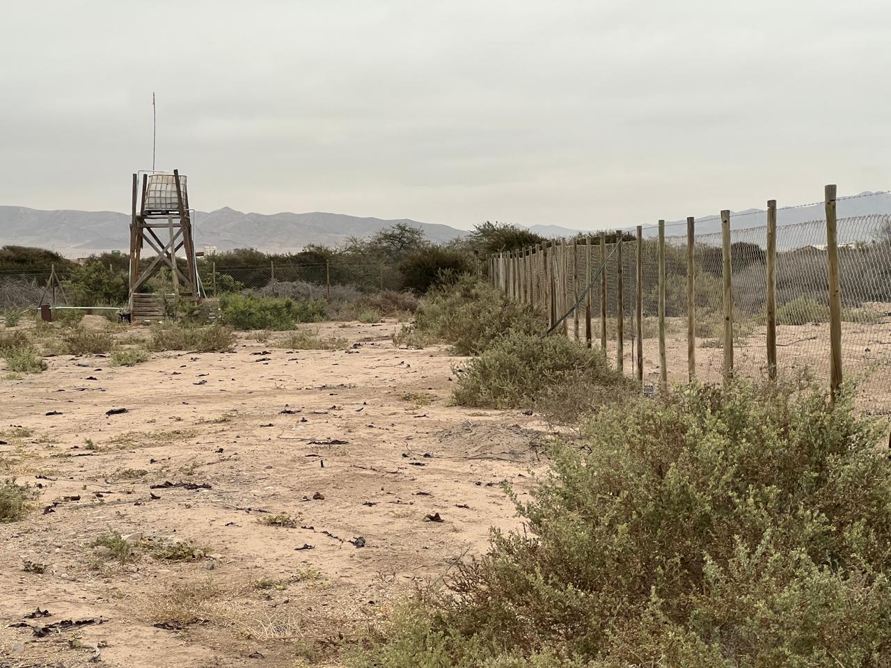 EXCELENTE PARCELA - VALLE FERTIL - A 5 MIN DE CARRETERA.-1/2 Ha.