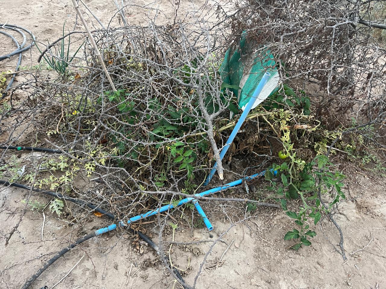 EXCELENTE PARCELA - VALLE FERTIL - A 5 MIN DE CARRETERA.-1/2 Ha.