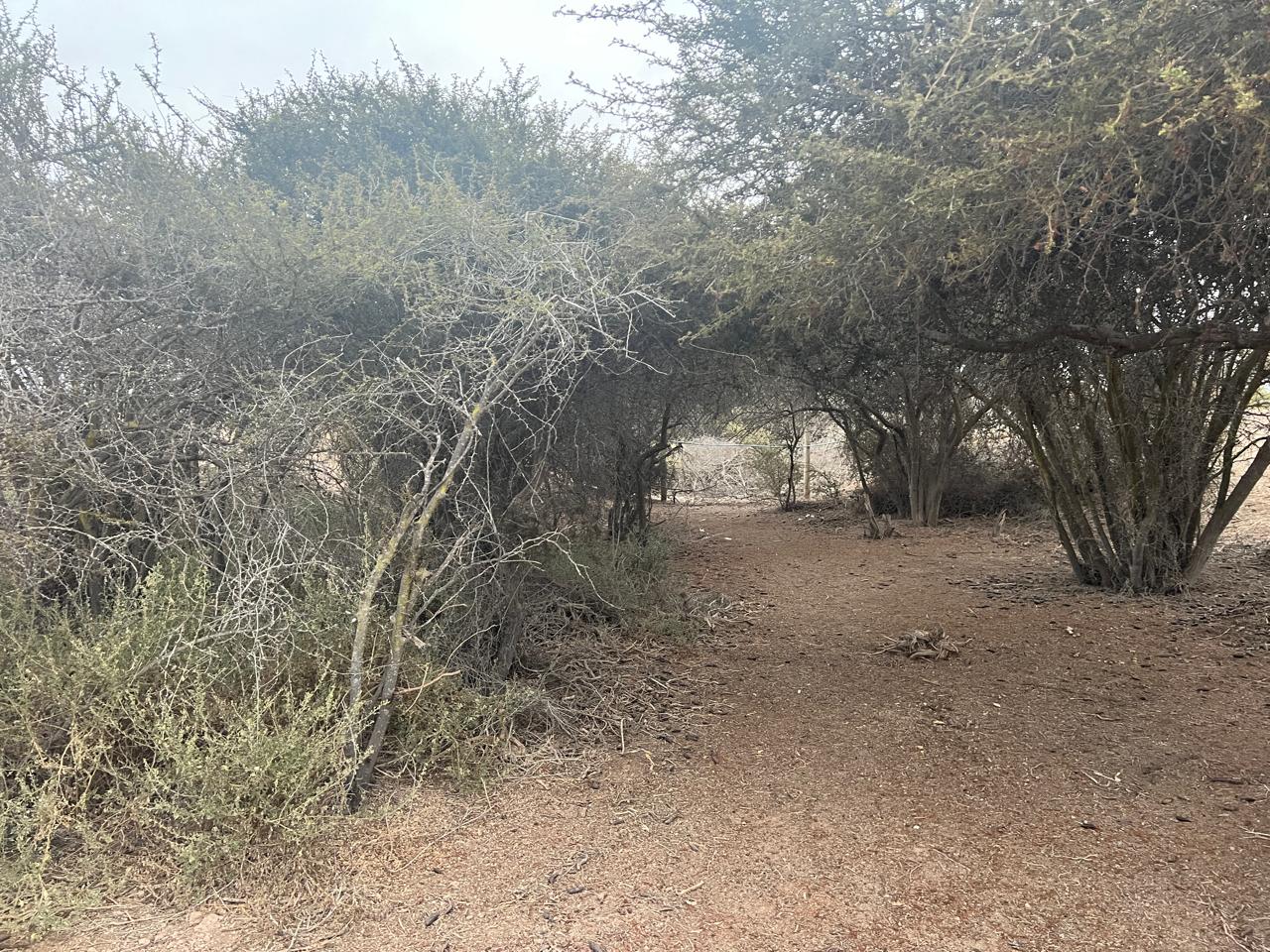 EXCELENTE PARCELA - VALLE FERTIL - A 5 MIN DE CARRETERA.-1/2 Ha.