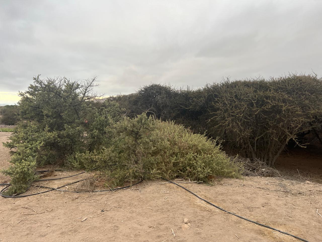 EXCELENTE PARCELA - VALLE FERTIL - A 5 MIN DE CARRETERA.-1/2 Ha.