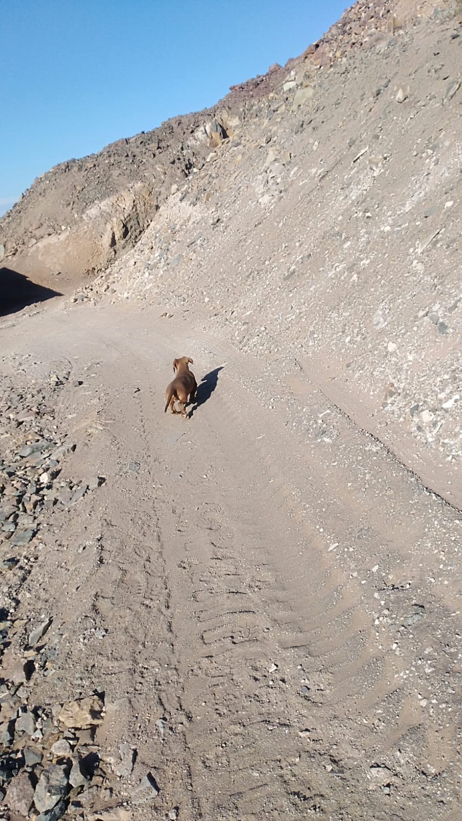 MINA LA PROBLEMA  DEL 1 AL 10.-