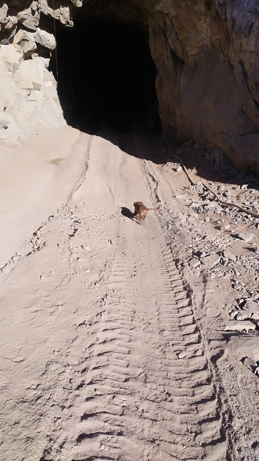 MINA LA PROBLEMA  DEL 1 AL 10.-