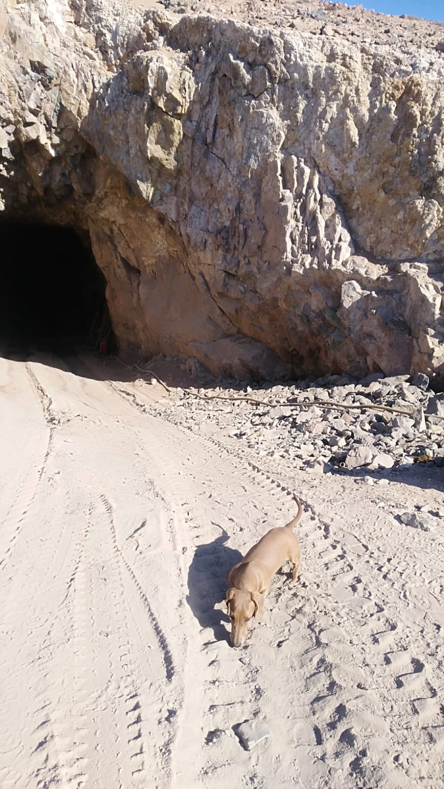 MINA LA PROBLEMA  DEL 1 AL 10.-